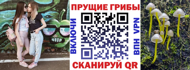 Псилоцибиновые грибы прущие грибы  где купить наркоту  Цимлянск 